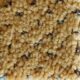 Mosaico miele 2110 tűzálló ipari szőnyeg